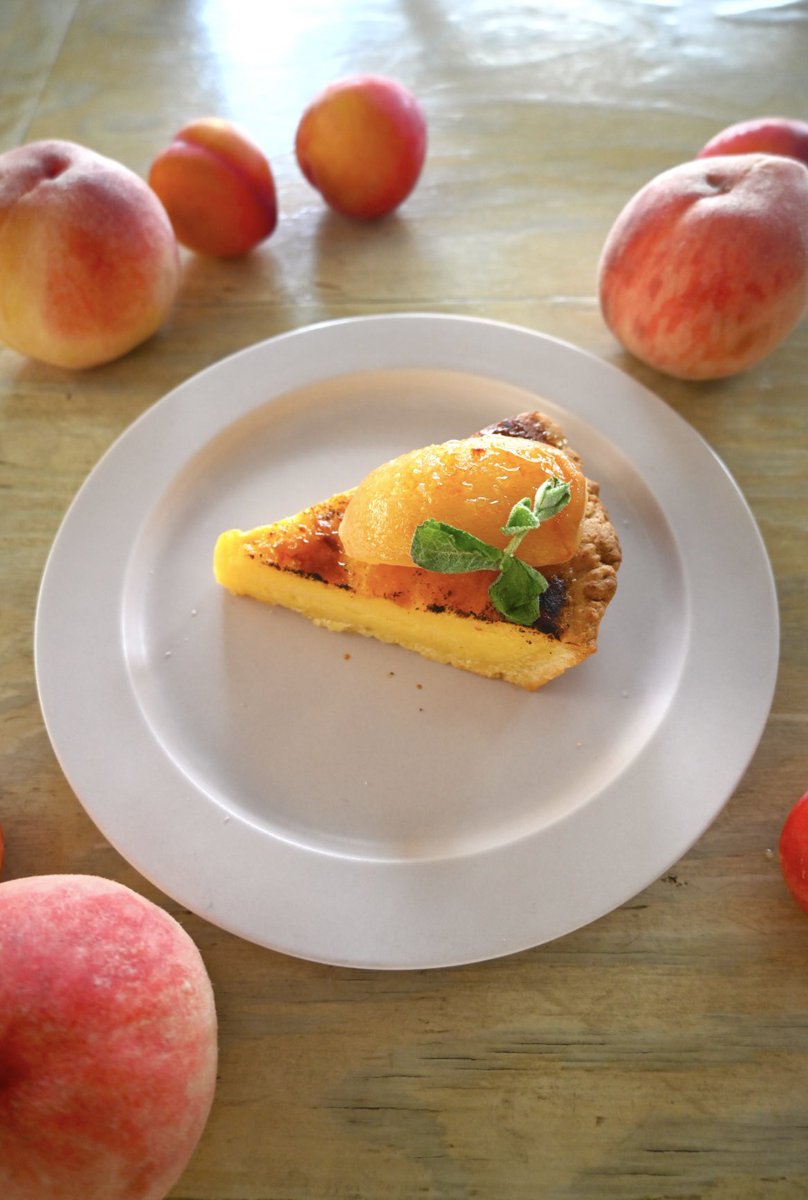 lightsidecafe's tweet photo. 夏スイーツの大本命
桃のケーキが登場しました✨

・桃のカスタードブリュレタルト🍑🥧

白桃を湯むきして凍らせた後に半解凍しカスタードとともにブリュレで仕上げました

今年の桃はタルトでお楽しみください🍑

#ライトサイドカフェ

今週の営業 https://t.co/vvPfFNX6KJ