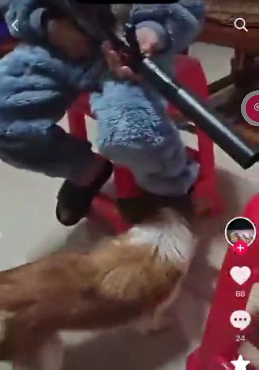 Kaizen237's tweet photo. @Zerocool1000 Monster is holding a rifle https://t.co/JfrQYZbInn