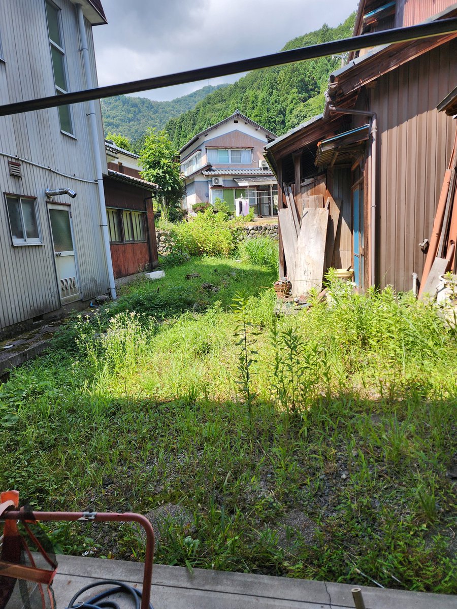 YOSHI227META's tweet photo. 今日は久し振りに庭の草刈りしました☀️😵💦
奥の方に草刈りレベルでない1mを越える茎も20本程生えてて家の右側には大量のすすきも生えてるので1回の草刈りでチップ付き円盤カッター刃が使い捨てになりました😱
いつもの事です https://t.co/0PKwSyyXEj