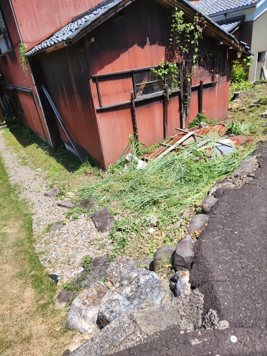 YOSHI227META's tweet photo. 今日は久し振りに庭の草刈りしました☀️😵💦
奥の方に草刈りレベルでない1mを越える茎も20本程生えてて家の右側には大量のすすきも生えてるので1回の草刈りでチップ付き円盤カッター刃が使い捨てになりました😱
いつもの事です https://t.co/0PKwSyyXEj