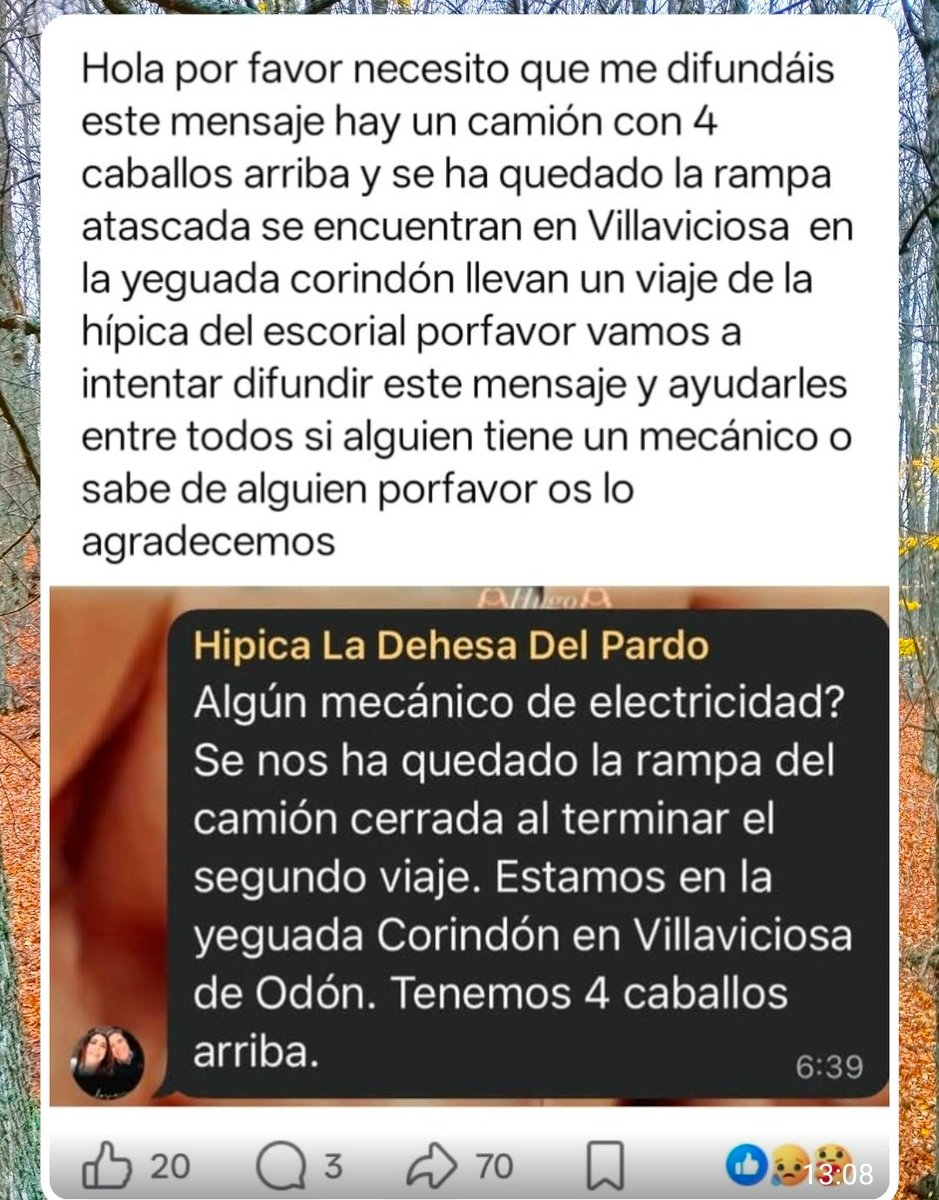 Rocio21286333's tweet photo. #IFSierraOeste https://t.co/cQrZrdANSL