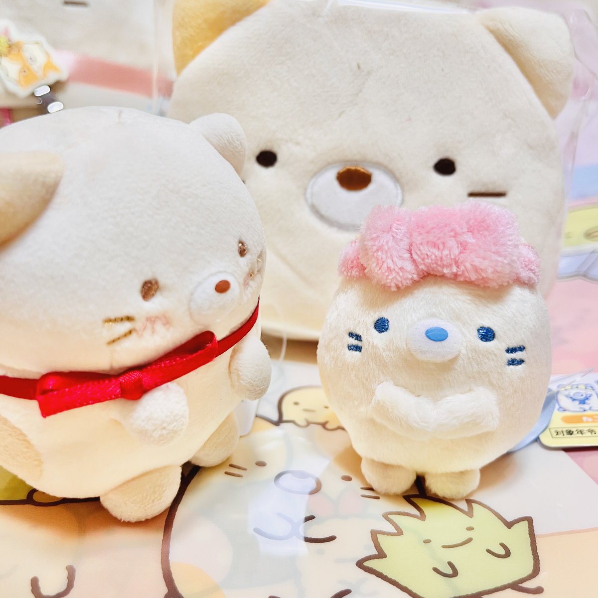 ねこた🐟🐱🍙 (@nekota_GvNvT) / X