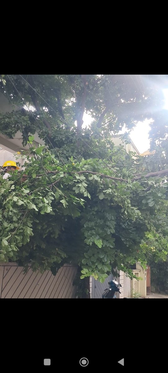 focsecbad91980's tweet photo. @MHanusaikrishna @tgspdcl @cmdtgspdcl @seopsecbad Tree cutting work in progress, supply will be restored shortly https://t.co/1cC6PpJm9y