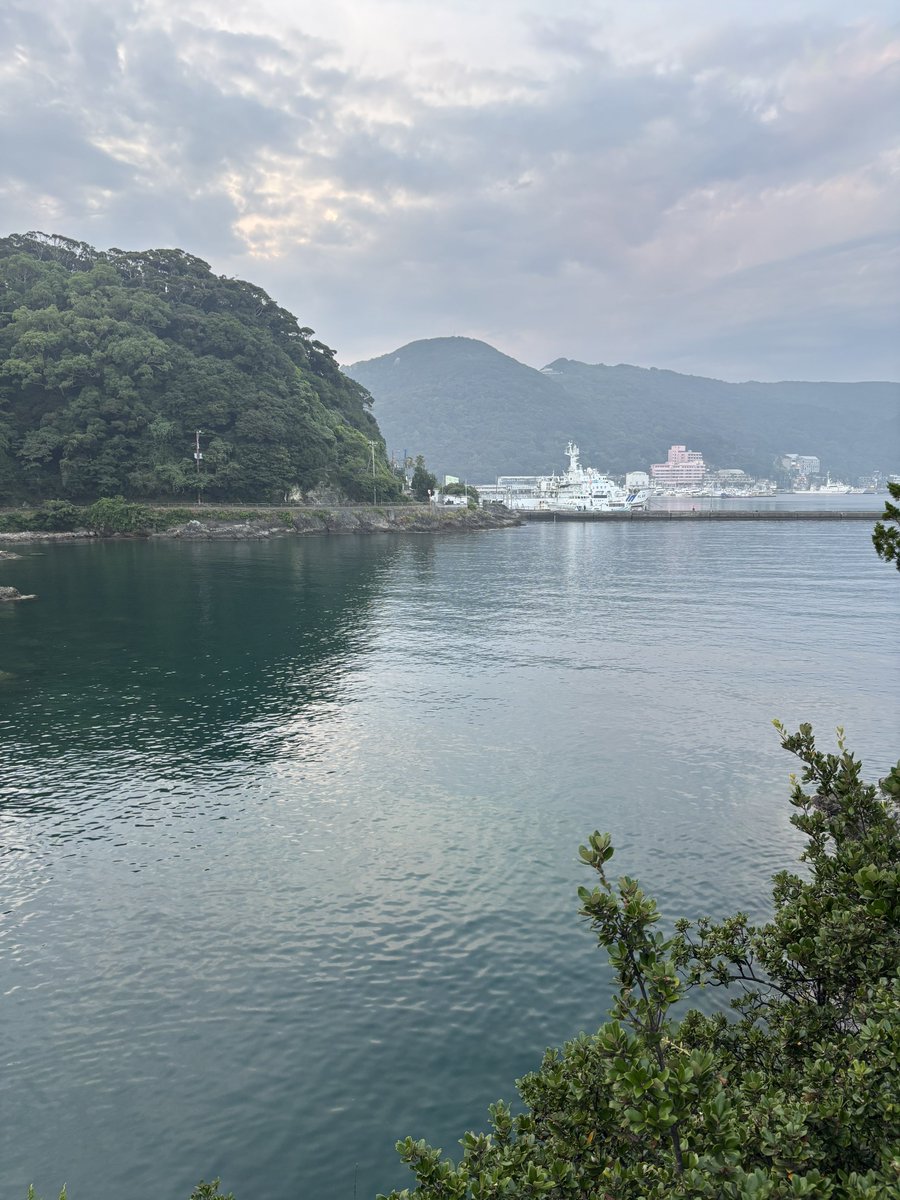 zjeb2m's tweet photo. カニさんいた https://t.co/5FjaSWjhoq