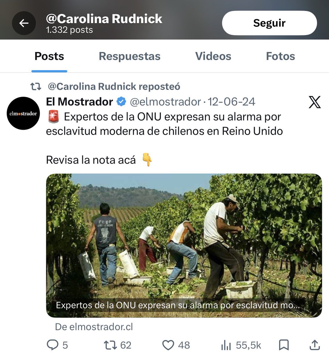 pfalconb's tweet photo. Cabros es cosa de mirar el X de Carolina Rudnick para comprobar que es de la ultra izquierda de verdad, un ser superior que habla karamanes, obviamente fue por Boric, por el Apruebo, con reportajes en El Mostrador, el canal basura de TVN y contra los agricultores de Chile siempre https://t.co/WfRDW1JLf8