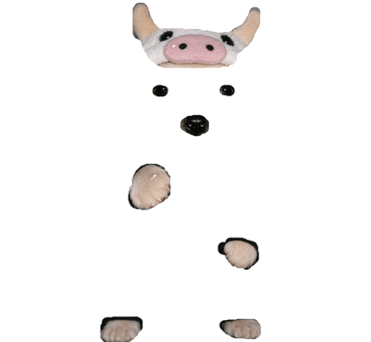 clocktoss tweet picture