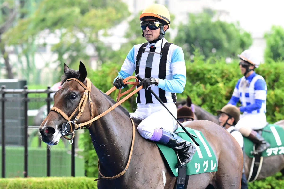 イメル🐴JRA馬主 on X: 