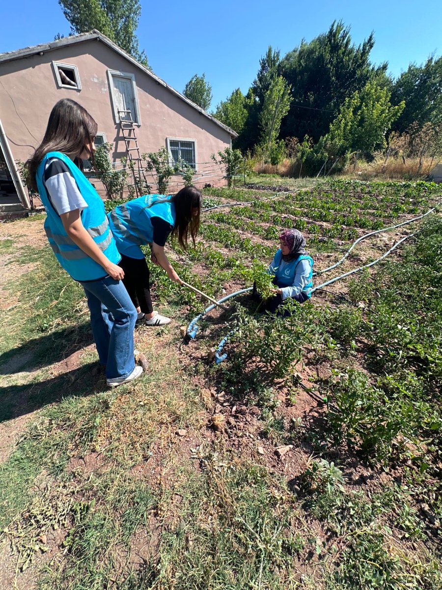 asena_haber's tweet photo. 📍Elazığ 

Ülkü Ocakları Elazığ İl Başkanlığı Asena Birimi, Permakültür Sürdürülebilir Tarım Projesi kapsamında tarımsal faaliyetlerde bulundu. https://t.co/Fneo7zztze