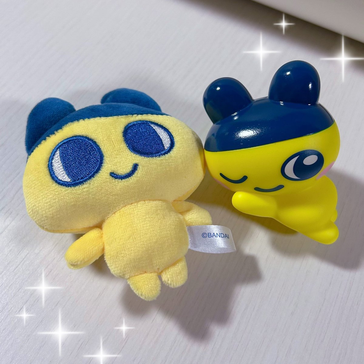 cherry_ss__'s tweet photo. まめっちお迎えできた❥ー(♡ω♡ )ー➤なんかきゅるきゅるしててかわいい💖💖 https://t.co/a4JgPSZNrd