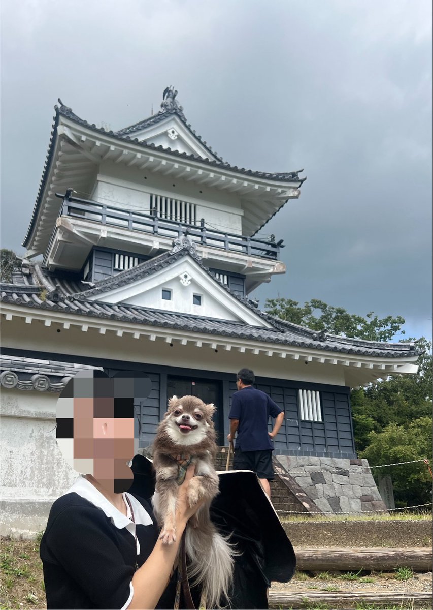 Aobyebye1's tweet photo. #日本100名城 でない城🏯
久留里城、大山千枚田、亀岩の洞窟
房総半島は自然豊かですが、真夏真っ盛りで蕩けそうです🥵 https://t.co/mshb0vlMQJ