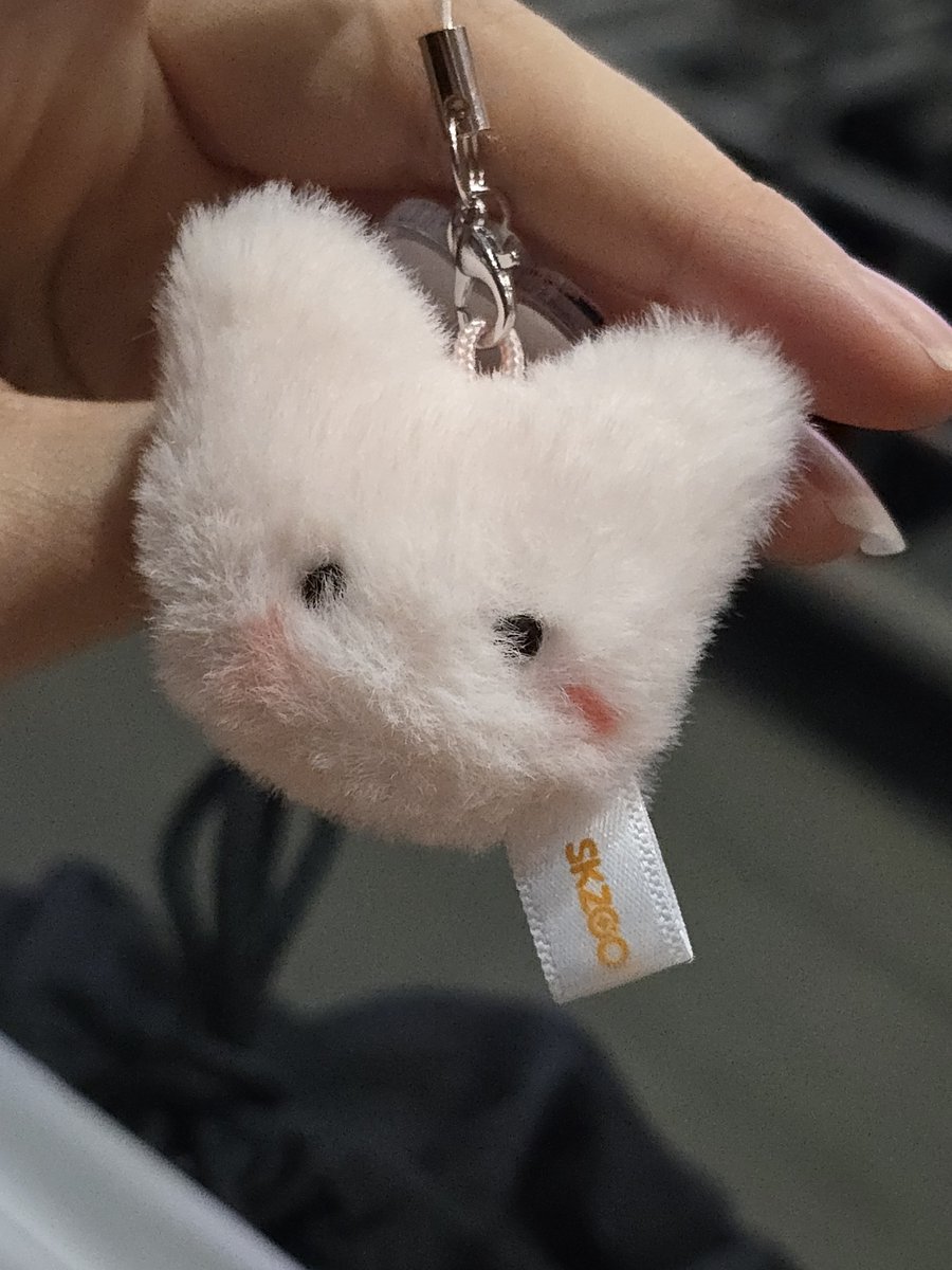 kandi____i's tweet photo. 스키즈 입장 인형 부채 교환
저 : 부채 - 퍼핌 / 인형키링 - 폭시니
스테이: 부채 - 뽁아리 / 인형키링 - 돼끼

25일 첫콘 끝나고 교환하실분 연락주세요 https://t.co/lZ01Y84CY0