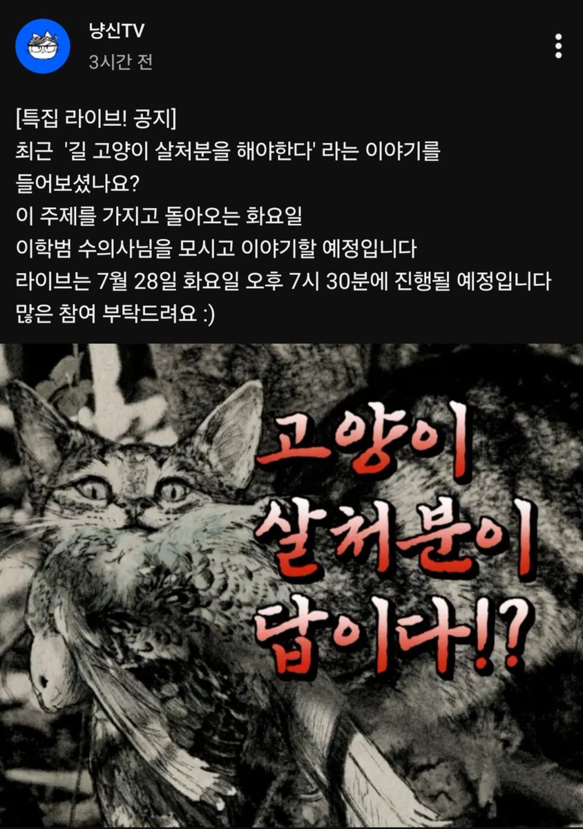 코팩&치치 임보중인 내일이네 tweet media