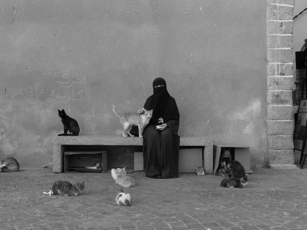 rafa_omar89's tweet photo. @KasprzykRemi Y esta? Foto aficionado realizada con una Leica DLux 8 ( Essaouira ) https://t.co/n83KtNcNDR