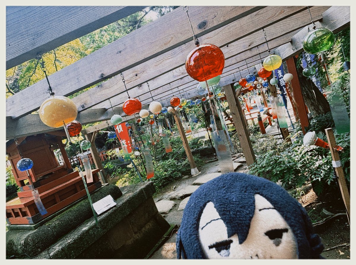 rnuwvm's tweet photo. 🎐 https://t.co/ob1byVJtK4