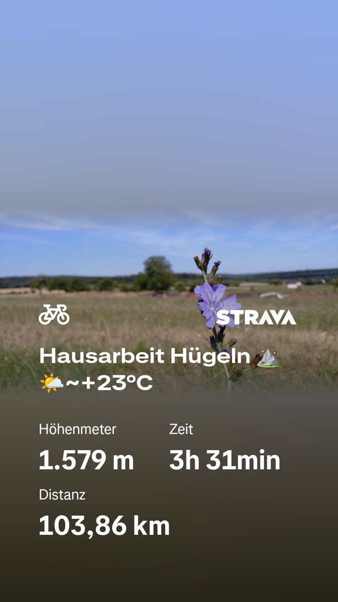 positivpaddy's tweet photo. Hausarbeit Hügeln ⛰️ 🌤️~+23°C
#Bitcoin'er = #fitcoiner #PoW  https://t.co/miKArYZNRG https://t.co/P1jcaI19lo