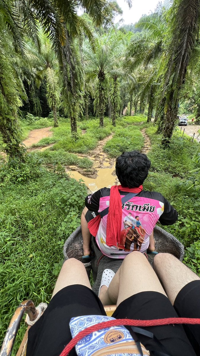 A tweet media