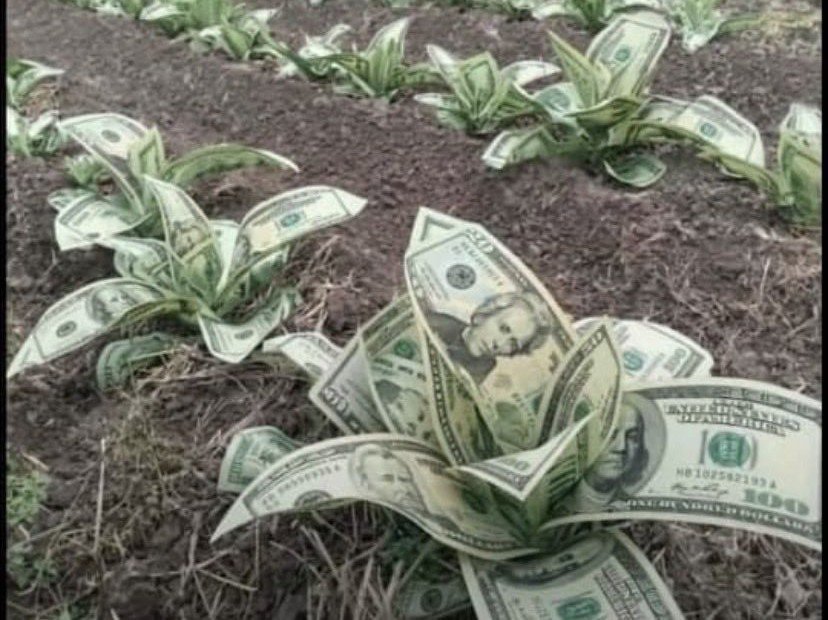 Royal30BG's tweet photo. How people think say I make money https://t.co/FO1FjxmjIW