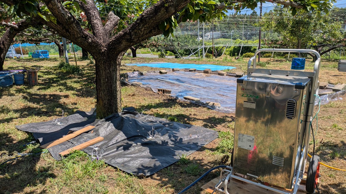 kita0244's tweet photo. 長野でも35℃を越える炎天下ですが、この気温を利用して土壌改良の作業を進めています。
果樹園にも「連作障害」があり、土壌に一度病原菌が繁殖してしまうと「元には戻らない」。

昨年購入した園地がまさにこの土壌のガンのような病原菌に侵されており、該当範囲に植えた苗木がすべて枯れてしまう状況でした。
今回農業試験場の方々に協力いただき、

①微生物の餌になる低濃度アルコールを土壌に溢れさせ、分解によって酸素を欠乏させて病原菌を減らす方法

②ボイラーで沸かした熱水を直接土壌に注入して病原菌が生存出来ないレベルまで温度を上げて菌密度を減らす方法

それぞれで試験区を作って効果検証を行なってます。どちらも「気温が高い（土壌の温度が高い）」時期にしか出来ない工程のため、炎天下でひたすらボイラーが正常に動くか見張る…みたいな日々が続きます。

正直、出来ればやりたく作業…ですが、僕らの代は基本的には「何度も果樹が植えられた」土地を引き継いでいく事になるため、今後に向けての大切な勉強になると思ってます。

頼むぞ、効いてくれ…！！！マジで！