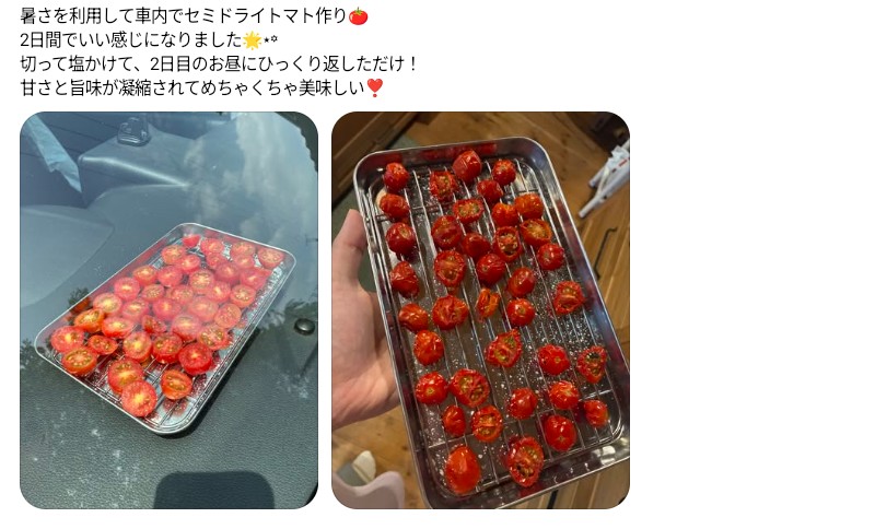 miracle_358's tweet photo. 🌞このクッッッソ暑い夏を楽しもう！🌞

⭕️車のダッシュボードで
・梅干しを作る
・干し椎茸を作る
・切り干し大根を作る
・ドライトマトを作る
・ゆで卵を作る
・温泉卵を作る
・目玉焼きを作る
・発酵食品を作る

⭕️車内で
黒いゴミ袋にぬいぐるみやクッション等を入れて口を縛り、社内に数時間置くとダニ退治に

⭕️ボンネットで
椿油に乾燥ローズマリーをたくさん入れ、ボンネットの上に置く

⭕️庭で
洗濯物オキシ漬け(ずっとお湯♨)

.
以上、Threadsで流れてきた有益情報っした😃
