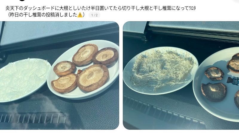 miracle_358's tweet photo. 🌞このクッッッソ暑い夏を楽しもう！🌞

⭕️車のダッシュボードで
・梅干しを作る
・干し椎茸を作る
・切り干し大根を作る
・ドライトマトを作る
・ゆで卵を作る
・温泉卵を作る
・目玉焼きを作る
・発酵食品を作る

⭕️車内で
黒いゴミ袋にぬいぐるみやクッション等を入れて口を縛り、社内に数時間置くとダニ退治に

⭕️ボンネットで
椿油に乾燥ローズマリーをたくさん入れ、ボンネットの上に置く

⭕️庭で
洗濯物オキシ漬け(ずっとお湯♨)

.
以上、Threadsで流れてきた有益情報っした😃