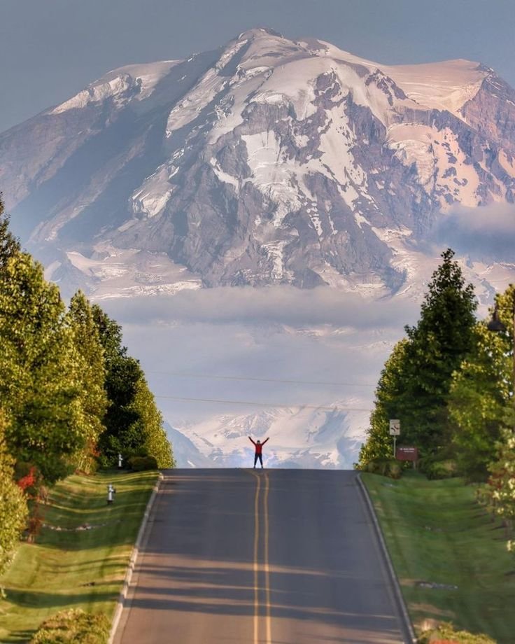 WorldGloryy0786's tweet photo. Mount Rainier National Park🏞️ https://t.co/bX62JJlVCP