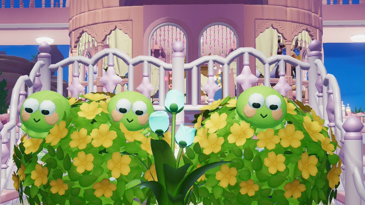 Maple_heartpia's tweet photo. カエルで撮ってきた🐸 https://t.co/l5ixQMXKvY