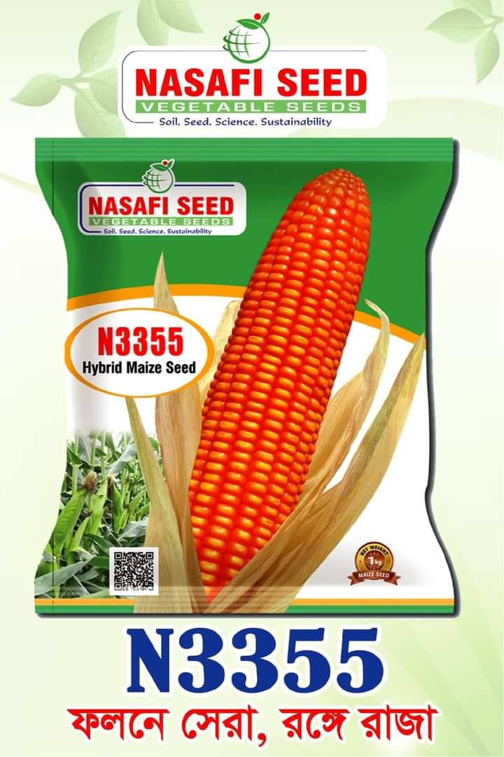 NazmulHaq3's tweet photo. N3355 Bangladesh top hybrid maize seed https://t.co/HMmg5B2Fmr