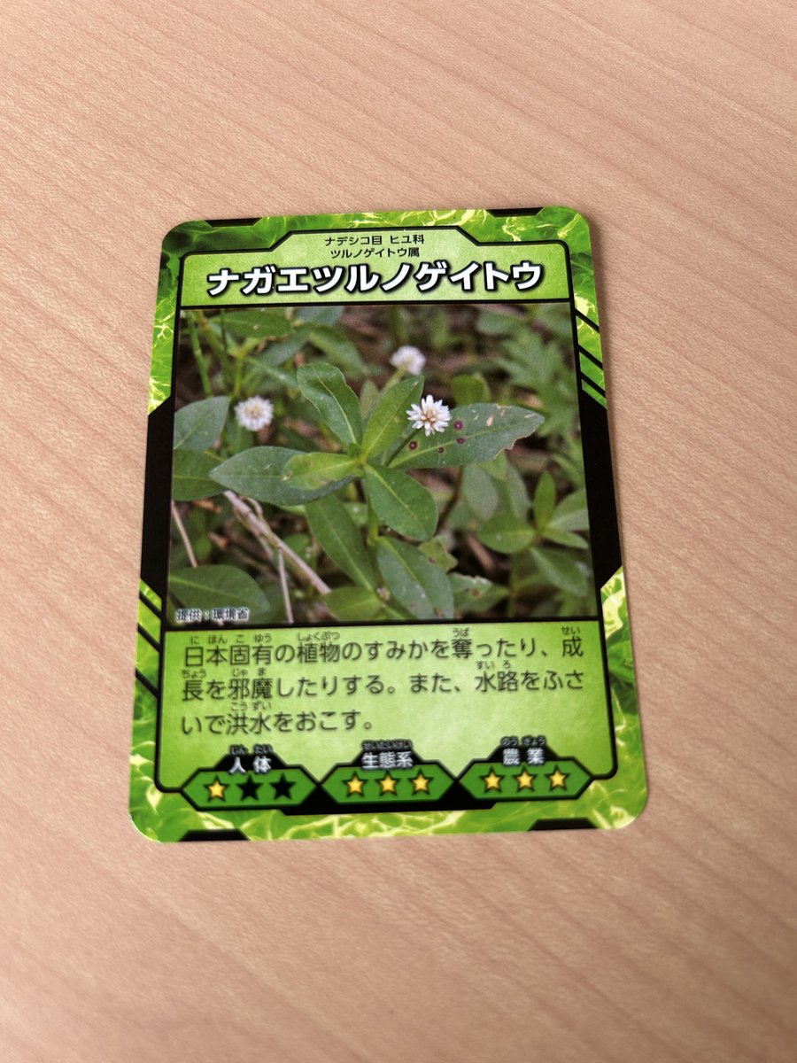 YamamotoRyu's tweet photo. 桜を食べちゃう虫。クビアカツヤカミキリ

群馬県は見つけたらその場で駆除を呼びかけていて、10匹の死骸で特定外来生物カードもらえる。

現金の報奨金はかつて館林市が1匹50円だったらしい。

駆除には住民参加が欠かせないから、通報アプリ＋位置情報＋小額報奨みたいな仕組みにすれば、防災や道路の損傷通報にも応用できそう。県民参加型デジタル行政にもつながる発想だと思う。