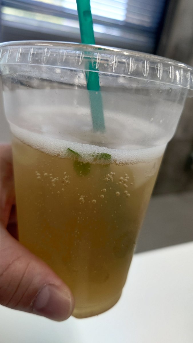 DanYuya's tweet photo. ジンジャーエール＋スパイス

収穫したミント🌿を入れてみました〜 https://t.co/rttCJQwANL