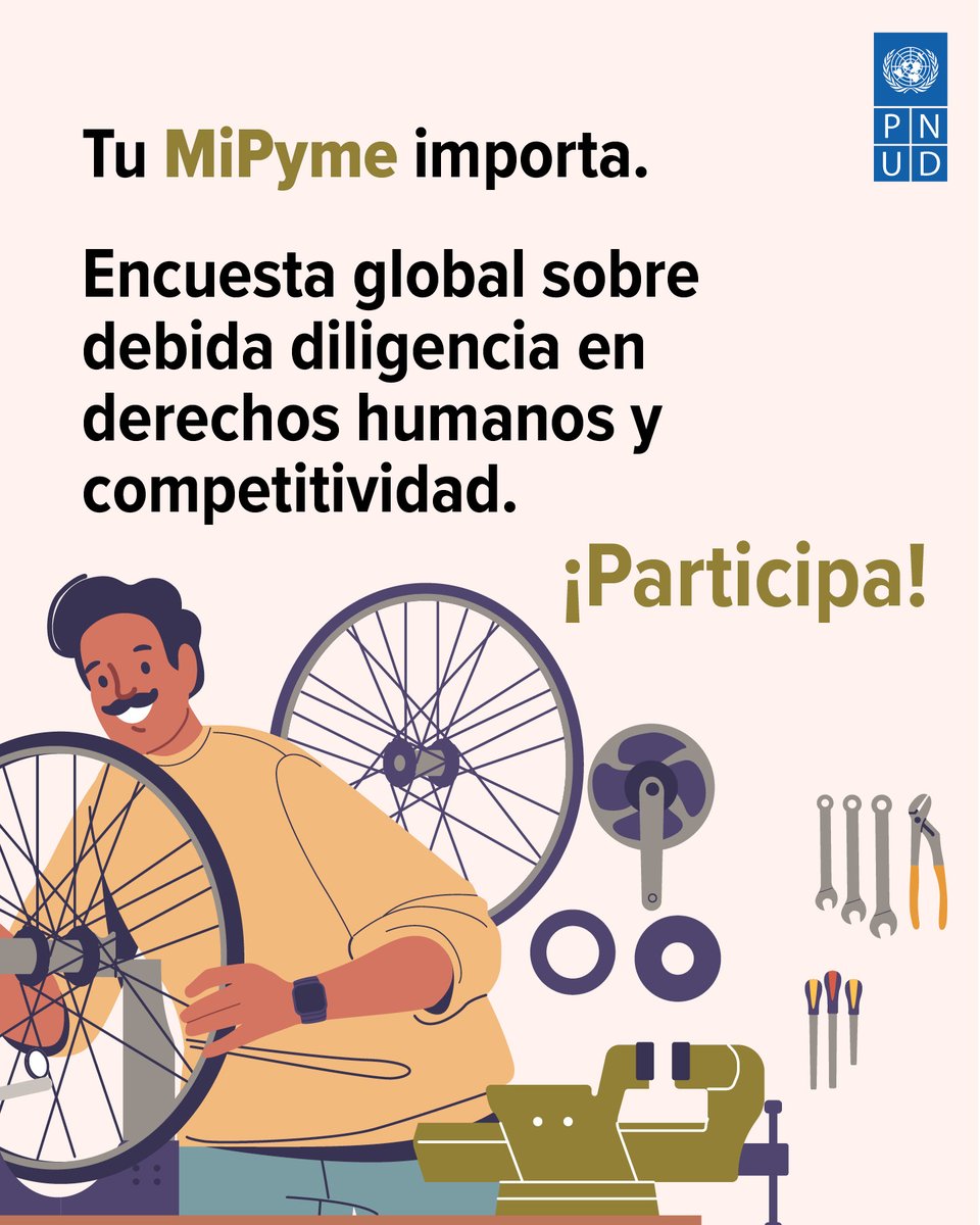 PNUDLAC's tweet photo. 🌎 ¿Trabajas en una PYME o colaboras con ellas? ¡Tu voz importa!

Participa en la encuesta global del PNUD sobre prácticas responsables y derechos humanos para fortalecer a las PYMES.

⏳ Solo 10-15 min.
🔗 https://t.co/SSC9fiSKSh

¡Comparte y sé parte del cambio! https://t.co/WTd1FJxNTT