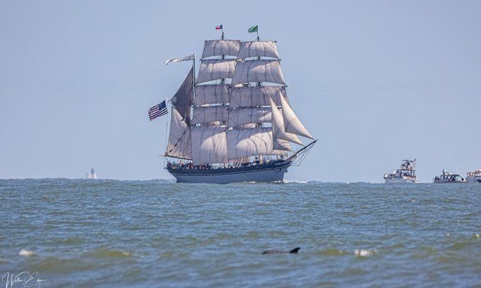 SaltyDGalveston's tweet photo. From Galveston, Texas... Have a good day! https://t.co/ALfeTSu94P