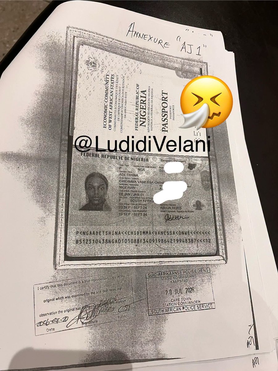 AdvoBarryRoux's tweet photo. This is the Nigerian passport that enabled Chidimma Adetshina to travel internationally. It has now come back to haunt her, as Home Affairs submitted it as proof to demonstrate that she has a country to which she can return. Her kid has a similar passport. https://t.co/yrPa2c2YbW
