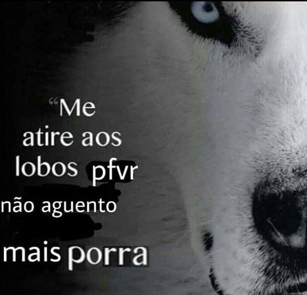 memesdogaga's tweet photo. https://t.co/uLaYVAB6J5