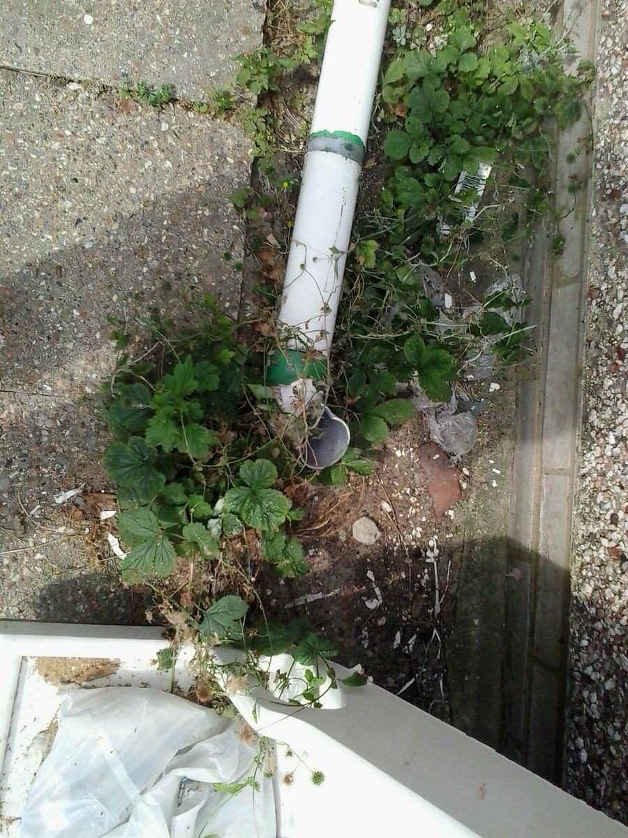 hazelspeed2B's tweet photo. fightingcharitycorruption  See what corruption leads to when The Salvation Army commit fraud, forgery and sell to a dodgy blue chip company like Mountview Estates PLC unlawfully.  They hire these kind of people to do, or not do their idea of repairs. https://t.co/hiPPfG0cx2