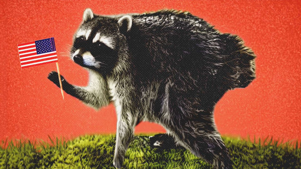 reason's tweet photo. Jimothy the raccoon is an idea—a symbol of being unapologetically different and free, despite dealing with setbacks.

"I think he's an example to all of us that you don't have to be perfect to be loved," said one Seattle City Council member. "It is a dream of mine to encounter Jimothy in real life and then keep my measured distance from him so he can live his good little life."

But what about humans?

Seattle isn't exactly known for lawmakers keeping their measured distance and letting their constituents live their good little lives: https://t.co/54R1Gmsvj4
