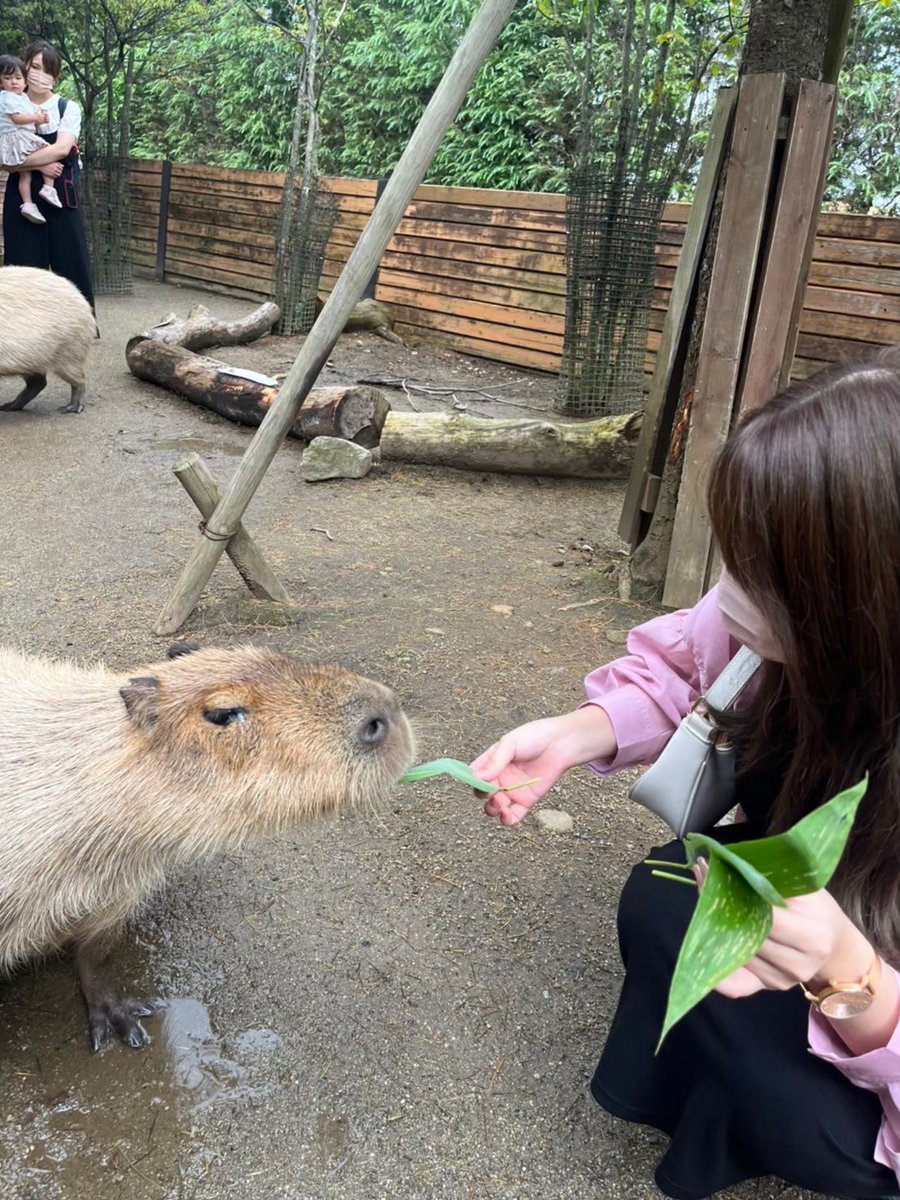 janbari_ryouma's tweet photo. 🍉8月のスケジュール🍉

暑い日々が続きますが来月も
よろしくお願いいたします。

収録店舗など決まったらまた更新します！

#PR https://t.co/JuJRS8Ocl7