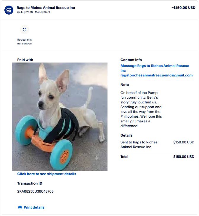 Muststopnhemmy's tweet photo. We have already sent a $150 donation as a gesture of our sincere commitment to supporting $BELLY. Our community is truly excited to continue contributing and hopes to provide even more support in the future.

Our goal is to help $BELLY receive a high-quality prosthetic leg that will allow him to walk comfortably and enjoy a better quality of life. We would be honored to have your support in helping us achieve this meaningful goal. Together, we can make a lasting difference in Belly's life.

Paypal: https://t.co/Vu2w0B9OdE

Tiktok: https://t.co/qbebd2NfBF

9J78BQCi8RYWDQJhopeERhu3kgoAh4NkstgSGEBKpump