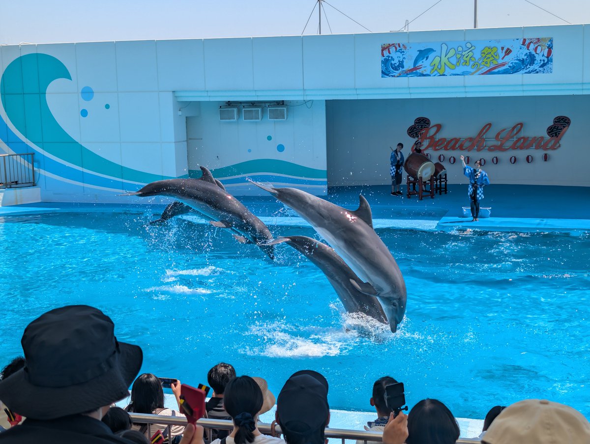 Iroha____ff14's tweet photo. はじめての南知多ビーチランドに行ってきました🐬
楽しかったし、娘も楽しめたようでよかったけど帰りの車で後部座席にいた私だけ暑すぎて軽い熱中症に…🥵
飲み物持ち歩きのため保冷のランチバッグにいれてた保冷剤当てたりして体頑張って冷やしてたけど…😭 https://t.co/wqMv18ubMv