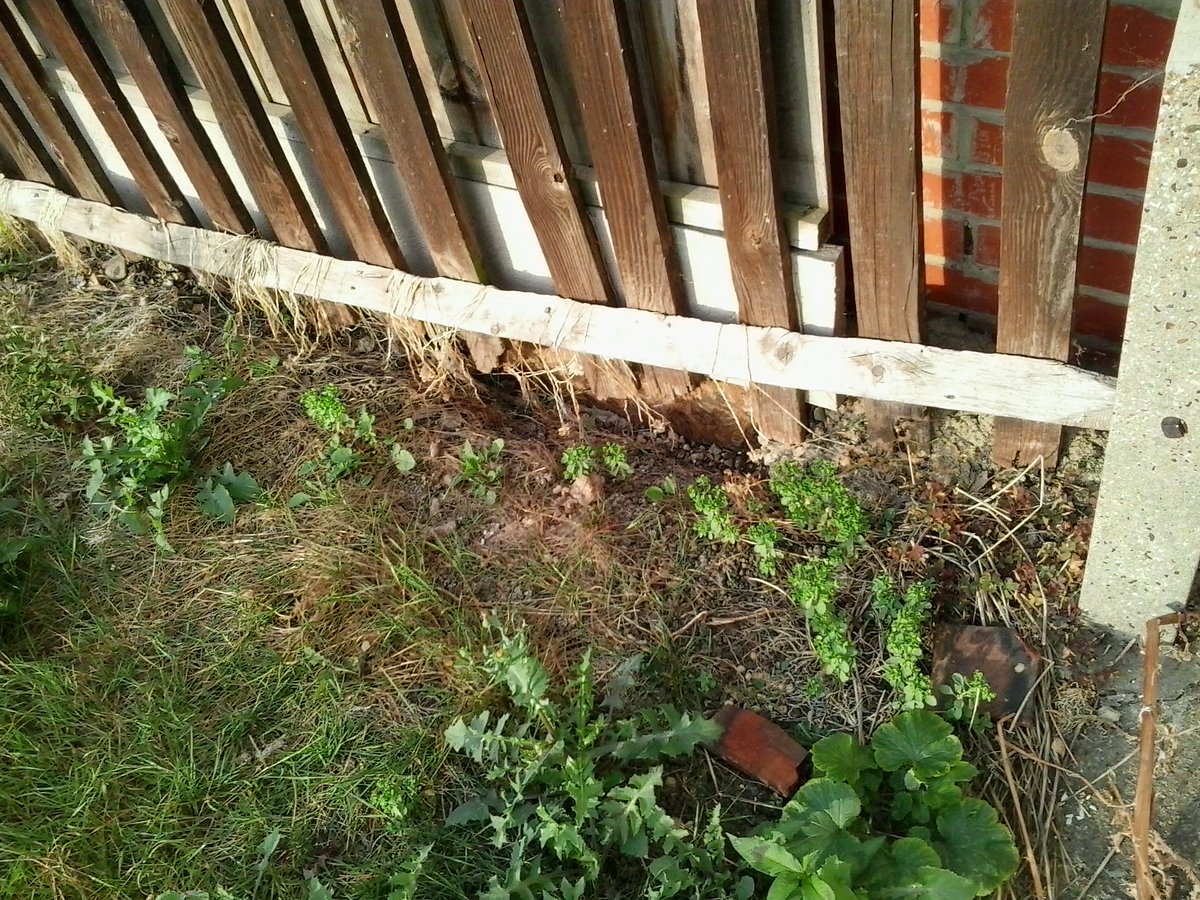 hazelspeed2B's tweet photo. fightingcharitycorruption  See what corruption leads to when The Salvation Army commit fraud, forgery and sell to a dodgy blue chip company like Mountview Estates PLC unlawfully.  They hire these kind of people to do, or not do their idea of repairs. https://t.co/hiPPfG0cx2