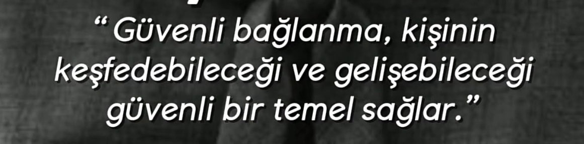 alivekemal's tweet photo. https://t.co/Sbgor8wiEy