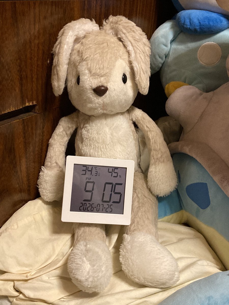 usane_nui's tweet photo. うさね「9しゅうねーん！
「そんなことより まいにちあついの
「よるなのにこのへや 34どもあるの

Xに登録した日を覚えていますか？ #MyXAnniversary https://t.co/QqwKzXeQbb