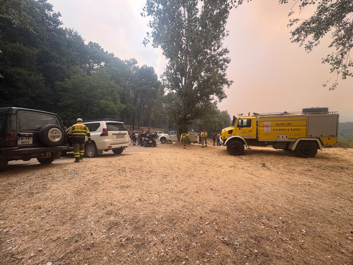 AT_Brif's tweet photo. 14:00📸 Las #BRIF de @mitecogob van a trabajar en defender poblaciones del #IFBurgohondo #Ávila.

@brifpuertopico + @brif_iglesuela en Casavieja

@briflubia en Navahondilla

Mucho ánimo a todos! https://t.co/VsmIfESq07