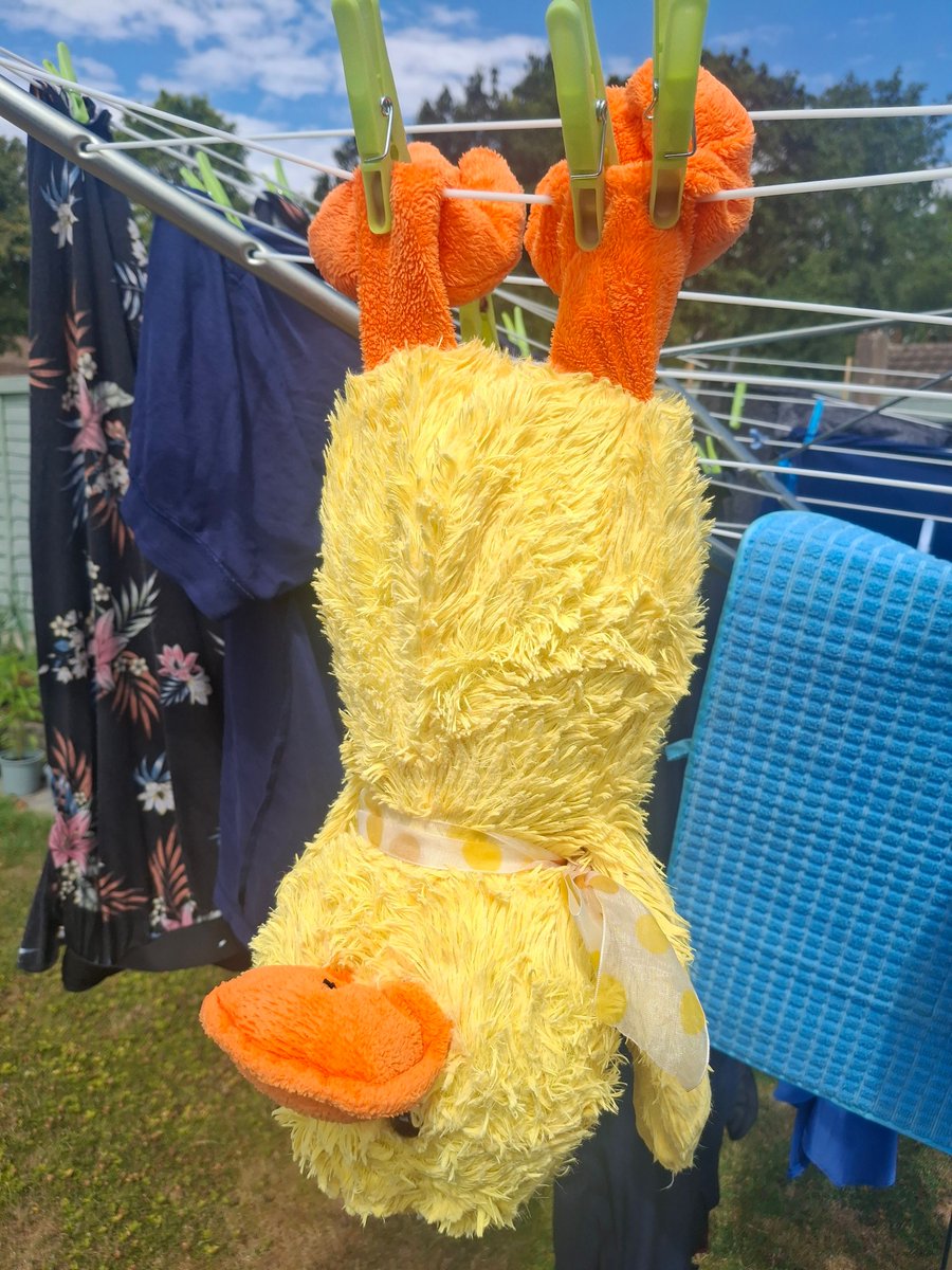HunsletTheBear's tweet photo. Hunslet heard it was the annual wash day and had seen his friend Duck hanging on the line.

I better hide somewhere he thought.   Maybe the swirly whirly machine isnt the best place Hunslet.

#swirlywhirlymachine https://t.co/8toJI6jdat