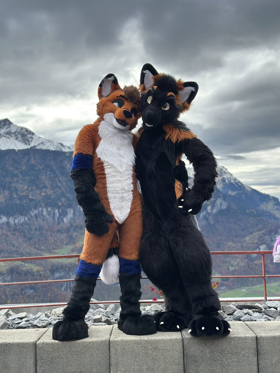 xavoto_fox's tweet photo. Team FOX https://t.co/f0SiMg8bc4