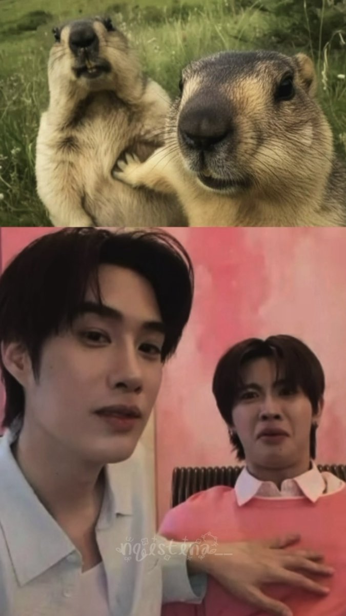 nqistinaa__'s tweet photo. not the usual cute couple poses this time 55555

#SMILEBLOOMxTleFirstoneSweetTime
#เติ้ลเฟิร์สวัน #TleFirstone 
#TLE_mtm #Firstone https://t.co/sZNdkyNPDD