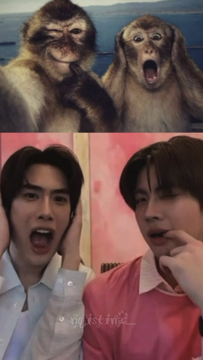 nqistinaa__'s tweet photo. not the usual cute couple poses this time 55555

#SMILEBLOOMxTleFirstoneSweetTime
#เติ้ลเฟิร์สวัน #TleFirstone 
#TLE_mtm #Firstone https://t.co/sZNdkyNPDD