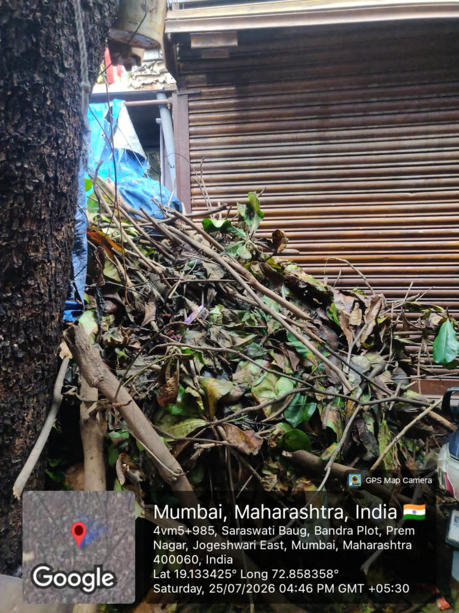 TechyBilal's tweet photo. @mybmcWardKNorth @mybmc It's been over 10 days since we raised this complaint, and there has been absolutely no response or action. This tree is a serious safety hazard and needs to be removed immediately Please resolve this without any further delay
Complaint ID: KN_202600074684 https://t.co/NHFDGF3m7D