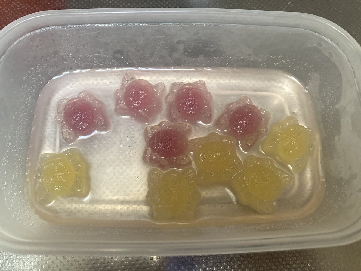 Vutaite's tweet photo. ハーヴェストグミが倍以上に膨らんだんで
凍らせてゼリーにトッピングしたらベネ！ https://t.co/CbuFYijYB7