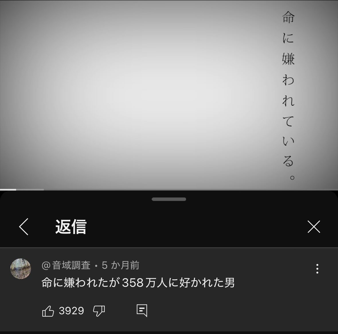 エフ理論🍺 tweet media