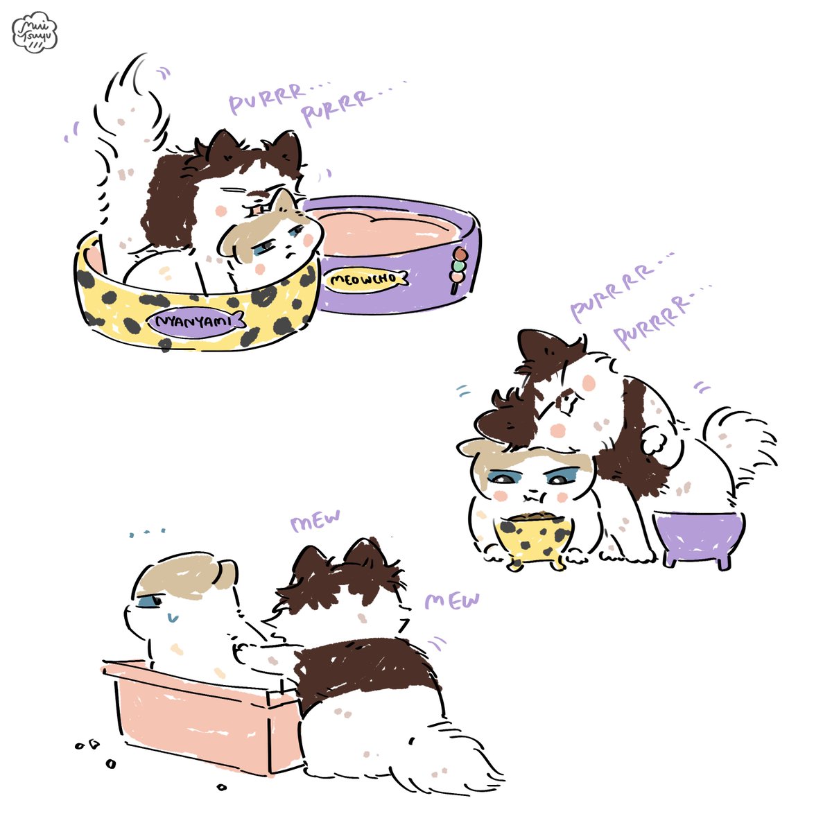 muitsuyu's tweet photo. chonana 🐱🐱 https://t.co/x74zIJ5WeP